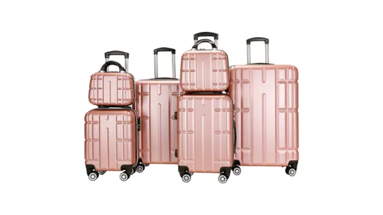 Valise à main personnalisée 6 pièces, sacs de voyage, sac à main à 4 roues, sac à roulettes, bagages Spinner